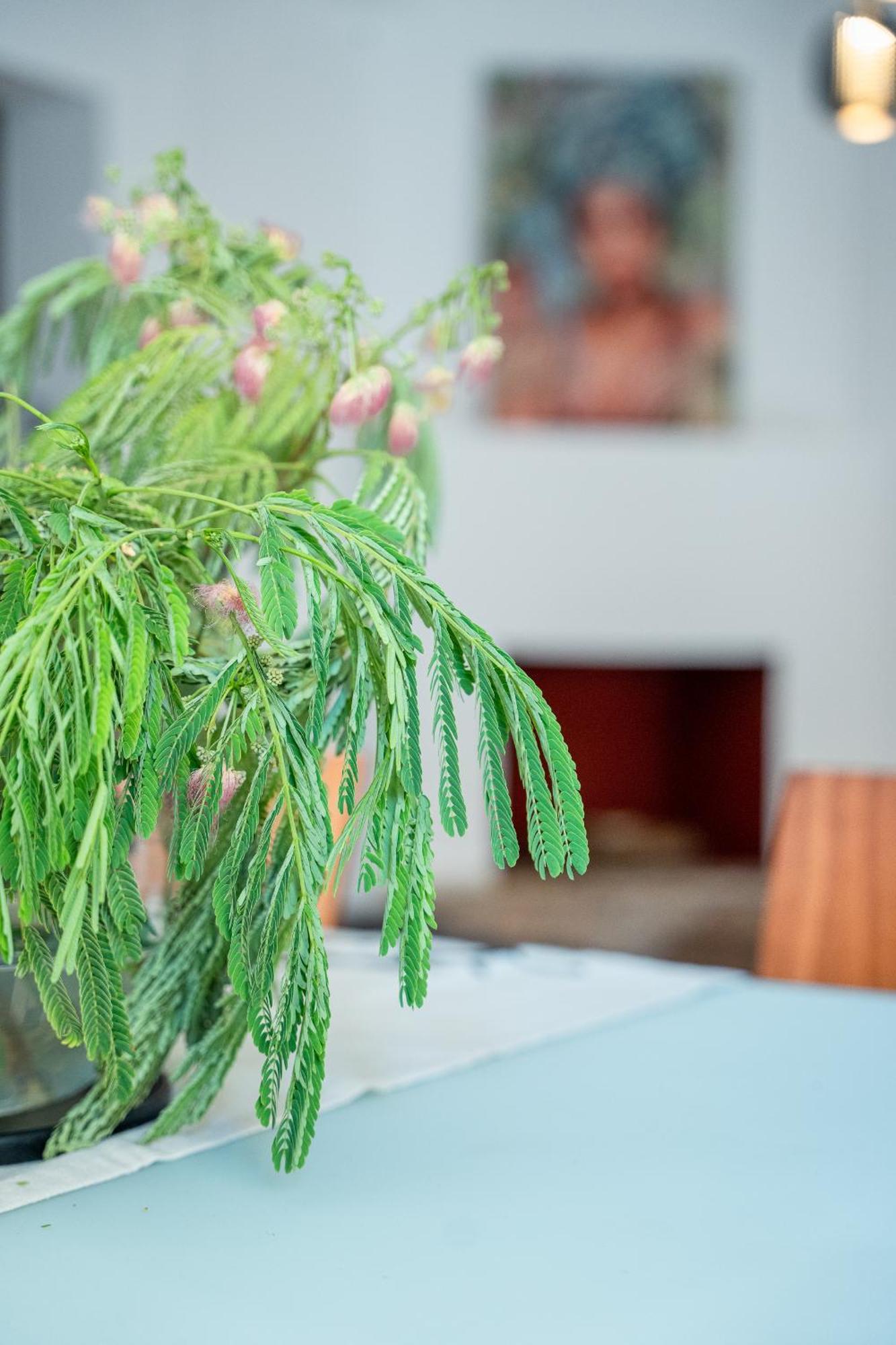 Appartement Otium Living à Vólos Extérieur photo